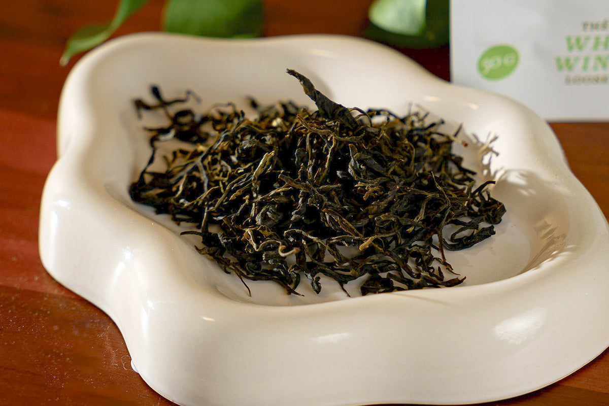 Where The Wind Pauses