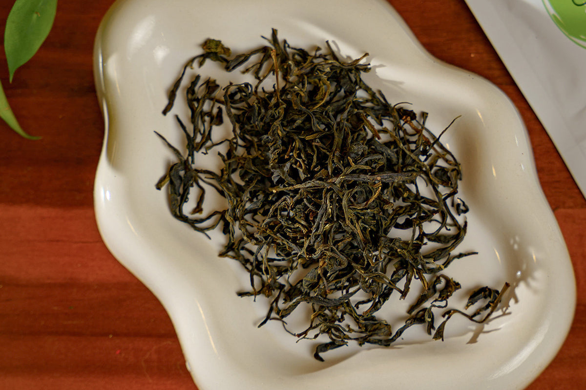 Where The Wind Pauses